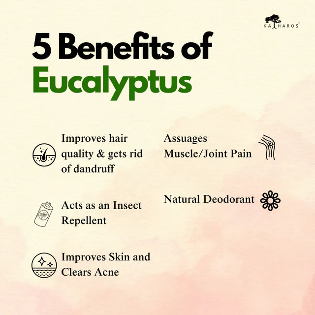 EUCALYPTUS
