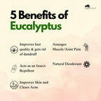 EUCALYPTUS