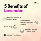 KASHMIRI LAVENDER