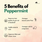 PEPPERMINT