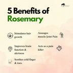ROSEMARY