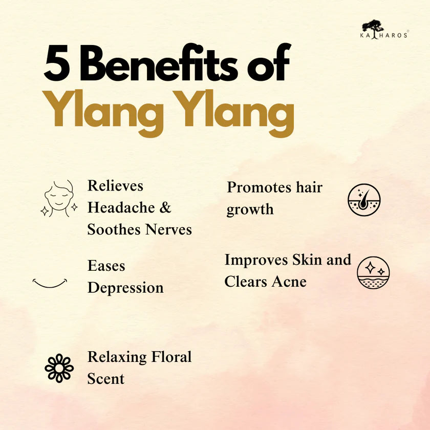 YLANG YLANG