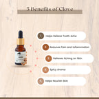 CLOVE