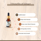 GINGER