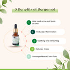 BERGAMOT