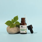 BERGAMOT