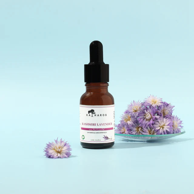 KASHMIRI LAVENDER